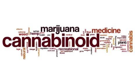 CBD