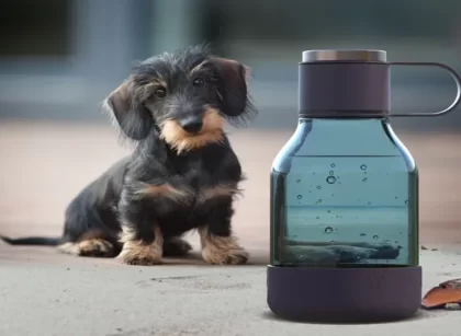 gift for dog lovers