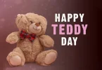 10 February Day Teddy Day